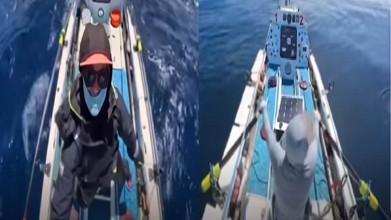 سيدة تحاول تحقيق إنجاز تاريخي بعبور المحيط الهادئ إلى جزر هاواي بمركب صغير.. فيديو