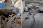 التجارة تغلق 12 معملًا مخالفًا للمياه تشكل خطورة على الصحة العامة.. فيديو