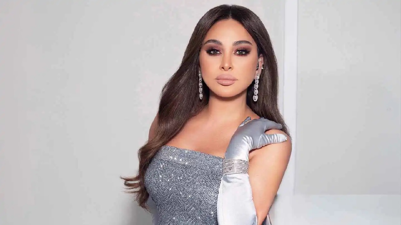 إليسا ترد على انتقادات حفل القاهرة بمشاركة تعليق أحد معجبيها
