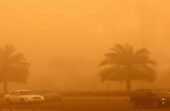 الأرصاد : استمرار الرياح المثيرة للغبار حتى منتصف الأسبوع المقبل.. فيديو