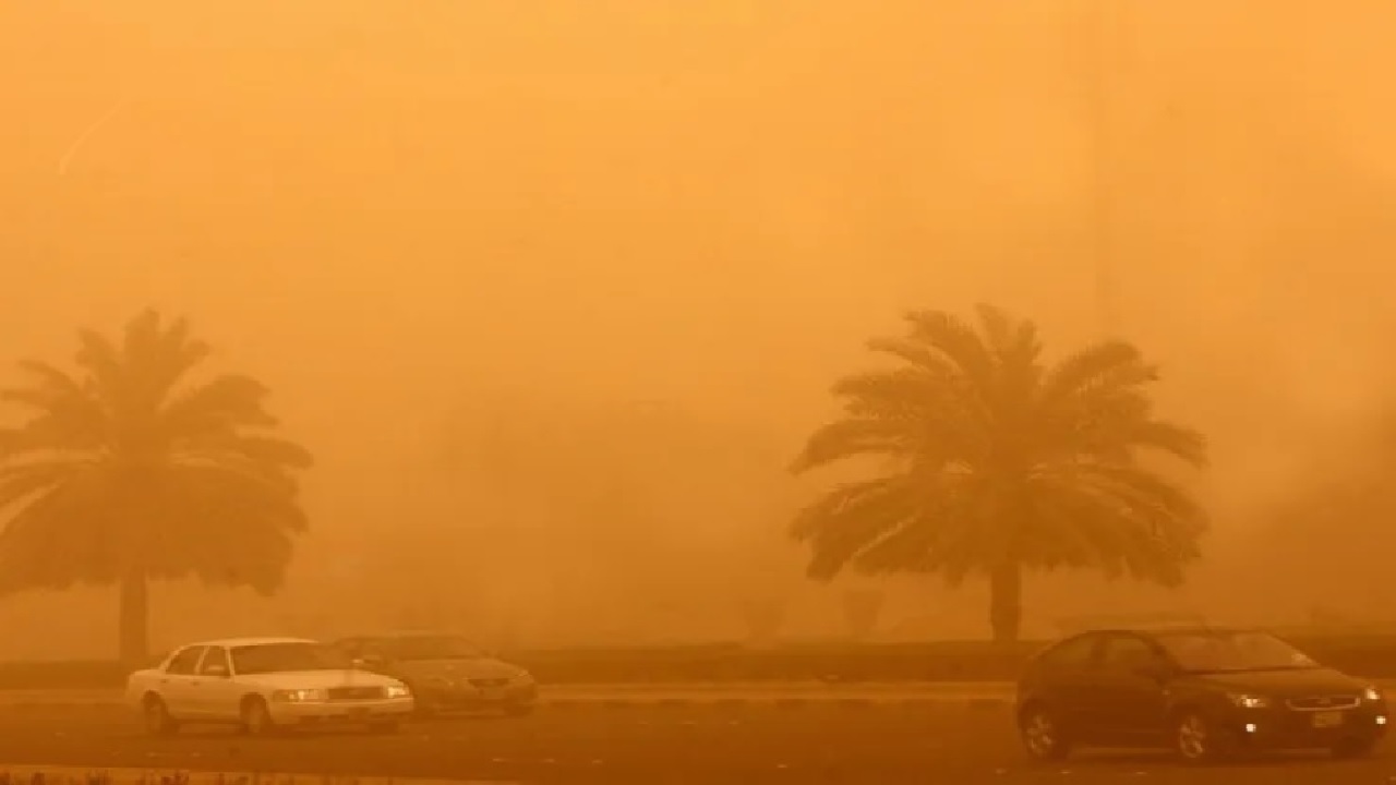الأرصاد : استمرار الرياح المثيرة للغبار حتى منتصف الأسبوع المقبل.. فيديو