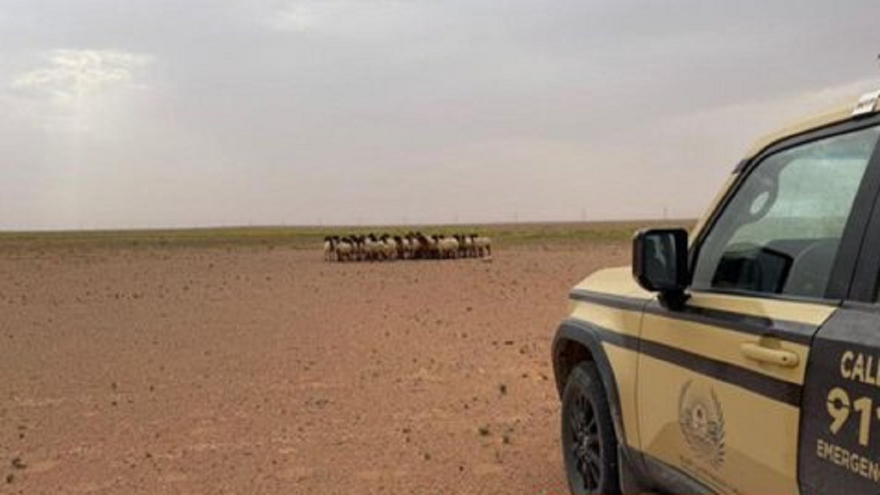 ضبط مخالفين لنظام البيئة