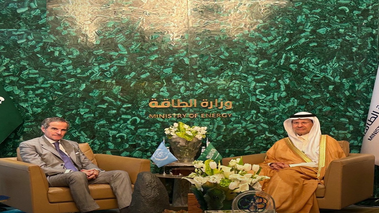 وزير الطاقة يلتقي مدير عام الوكالة الدولية للطاقة الذرية