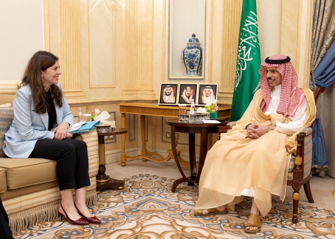 وزير الخارجية يستقبل مستشارة الرئيس الفرنسي لشؤون شمال أفريقيا والشرق الأوسط