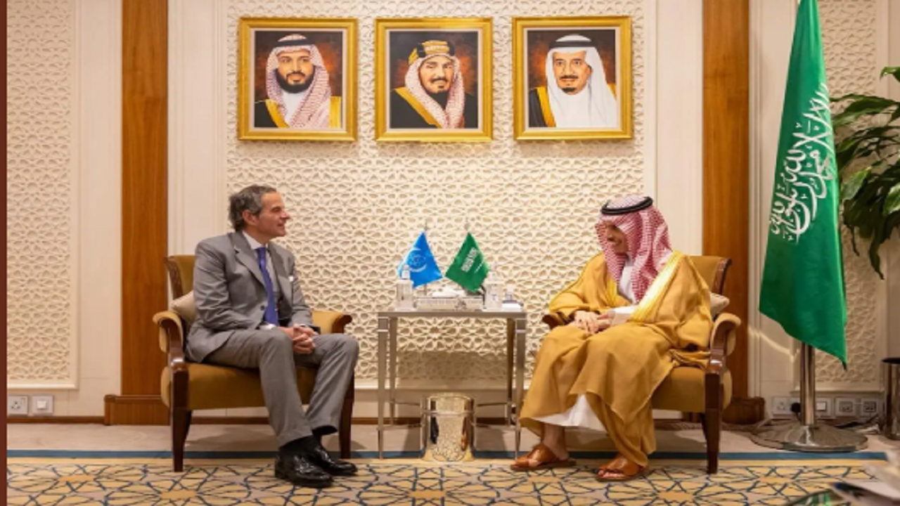 وزير الخارجية يستقبل مدير عام الوكالة الدولية للطاقة الذرية