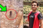 مصرع المغامر اليمني القعقاع الشهير  بـ رجل العنكبوت أثناء تسلق فوهة بركانية