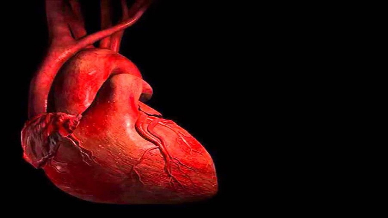 النمر: اختفاء صوت الصمام المعدني فجأة لا يستدعى القلق في حالة واحدة
