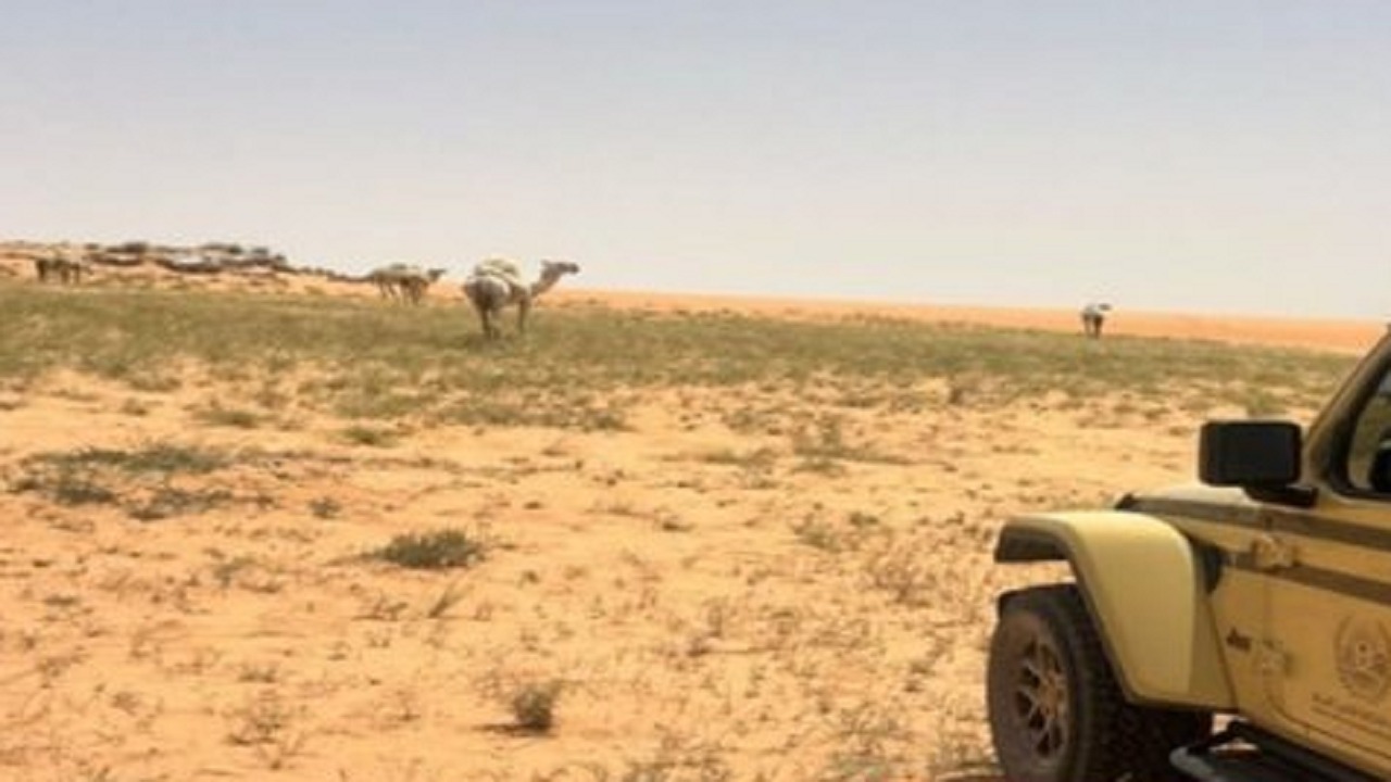 ضبط مواطنين مخالفين لنظام البيئة