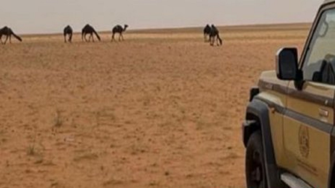 ضبط مواطنين مخالفين لنظام البيئة