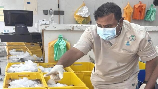 بيئة عسير تضبط 1324 كيلوجرامًا من الأسماك الفاسدة في خميس مشيط
