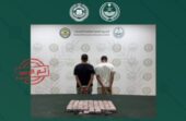 القبض على مخالف ومقيم لترويجهما أقراصًا خاضعة لتنظيم التداول الطبي
