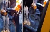 إنقاذ مسافر علق بالنافذة أثناء رحلة بطائرة راين إير .. فيديو