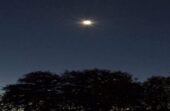 فلكية جدة: كوكب الزهرة يلمع في سماء المساء