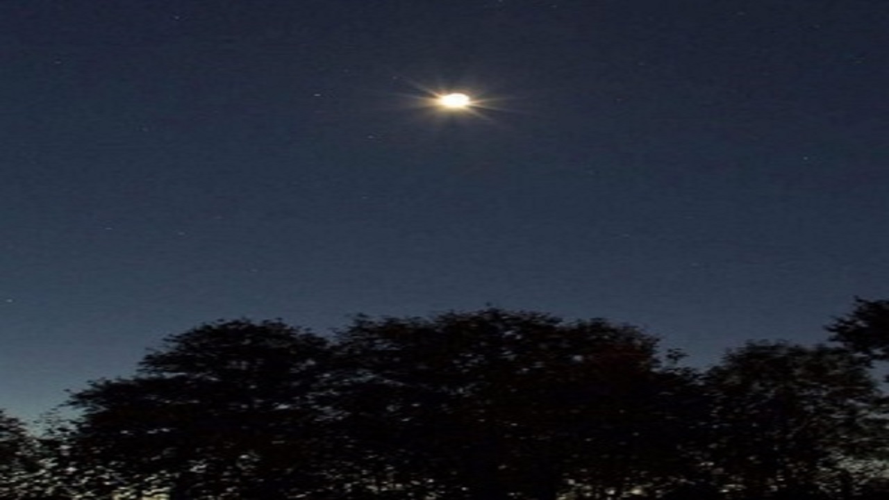 فلكية جدة: كوكب الزهرة يلمع في سماء المساء