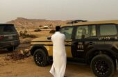 ضبط مخالفًا لنظام البيئة لاقتلاعه الأشجار دون ترخيص في محمية طويق الطبيعية