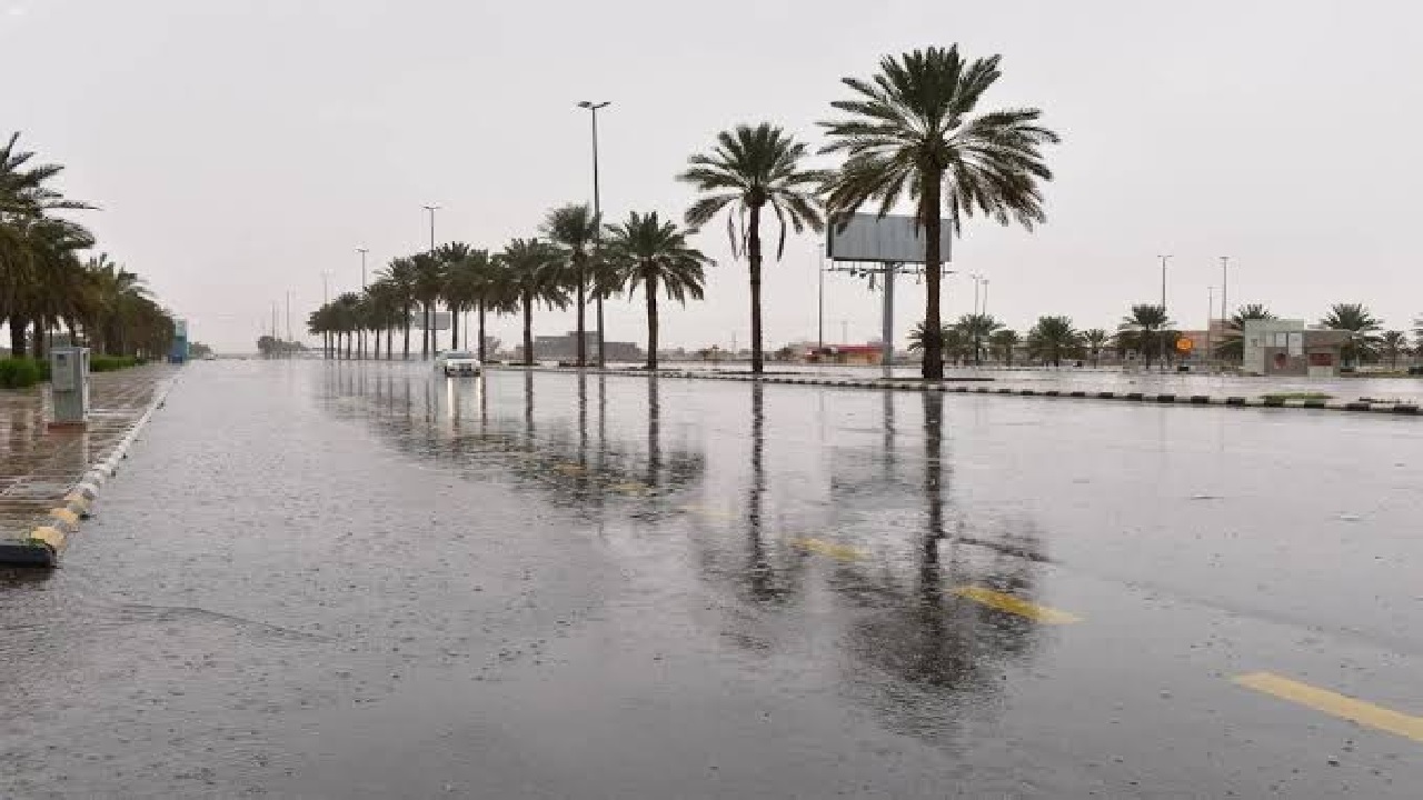 أمطار رعدية على عدة مناطق حتى نهاية الأسبوع.. فيديو