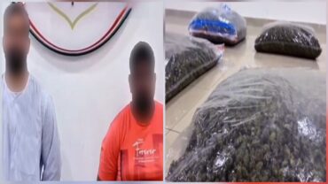 المؤبد لمتهمين بالكويت بعد إحباط شحنة ضخمة من الماريجوانا .. فيديو