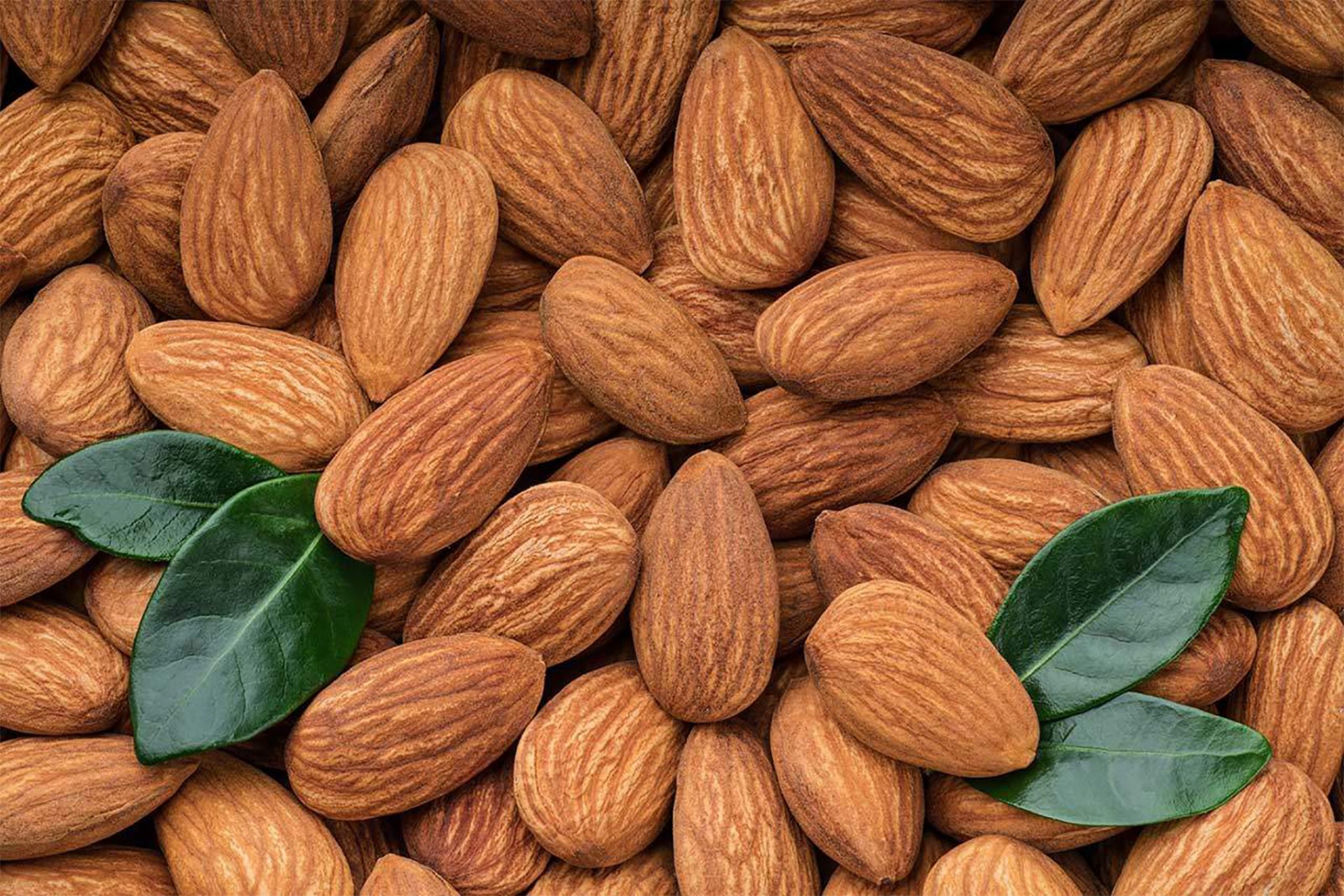 حبة لوز يوميا تعزز صحة القلب