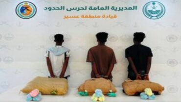 ضبط 3 مخالفين وإحباط تهريب 118 كجم من القات والحشيش بعسير وجازان