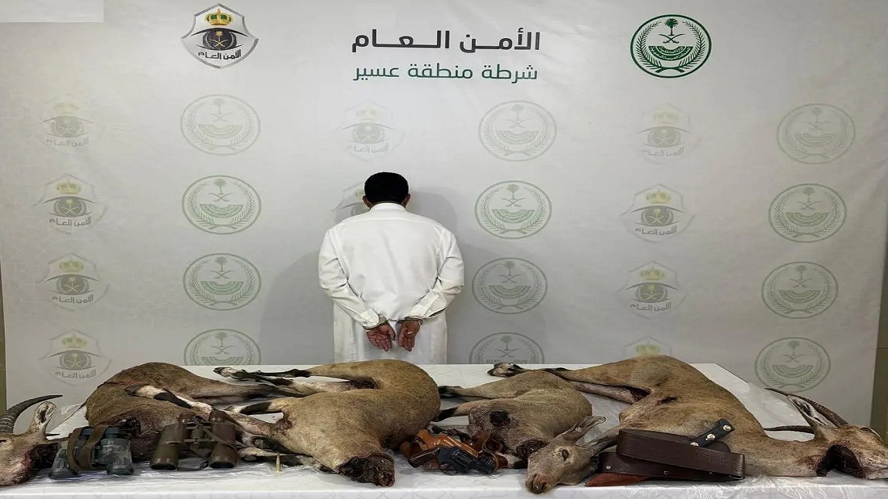 شرطة عسير تقبض على شخص لارتكابه مخالفة صيد “الوعل” المهدد بالانقراض