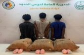 إحباط تهريب 38 كيلو جرامًا من القات بعسير