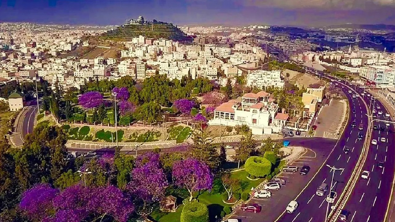 المملكة تواصل صدارتها إقليميًا بـ21 مدينة صحية معتمدة من منظمة الصحة العالمية