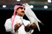 بيع أغلى صقر في المزاد الدولي لمزارع إنتاج الصقور 2026 بـ1.3 مليون ريال
