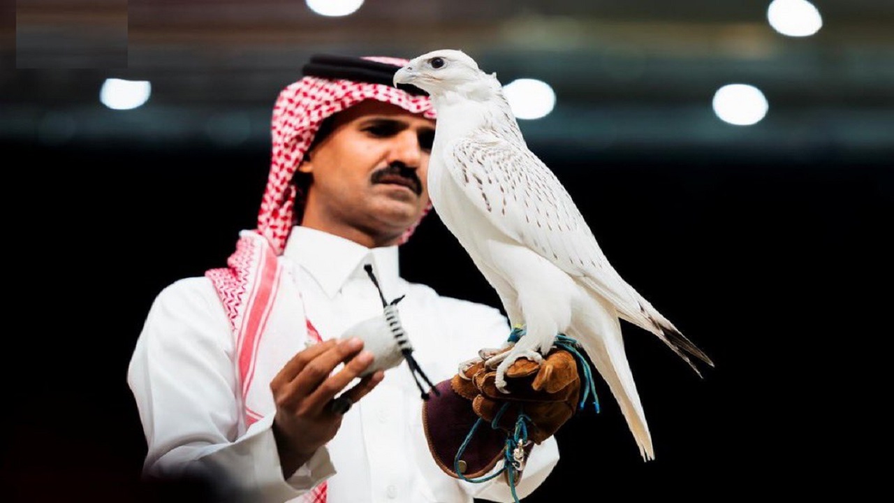 بيع أغلى صقر في المزاد الدولي لمزارع إنتاج الصقور 2026 بـ1.3 مليون ريال