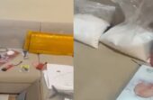 إحباط مخطط إرهابي لاستهداف منشأة حيوية في الكويت.. فيديو