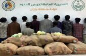 القبض على 11 مخالفًا لتهريبهم 220 كيلوجراما من القات بجازان