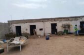 ضبط مستودع تبغ مخالف بجدة