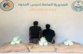 القبض على مخالفين لتهريبهما 45 كيلوجرامًا من القات بجازان