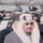 مشاهد نادرة توثّق استقبال الملك سعود من قِبل المندوب المصري محمود فوزي