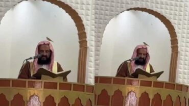 موقف طريف لطائر يستقر فوق رأس خطيب الجمعة بالطائف .. فيديو