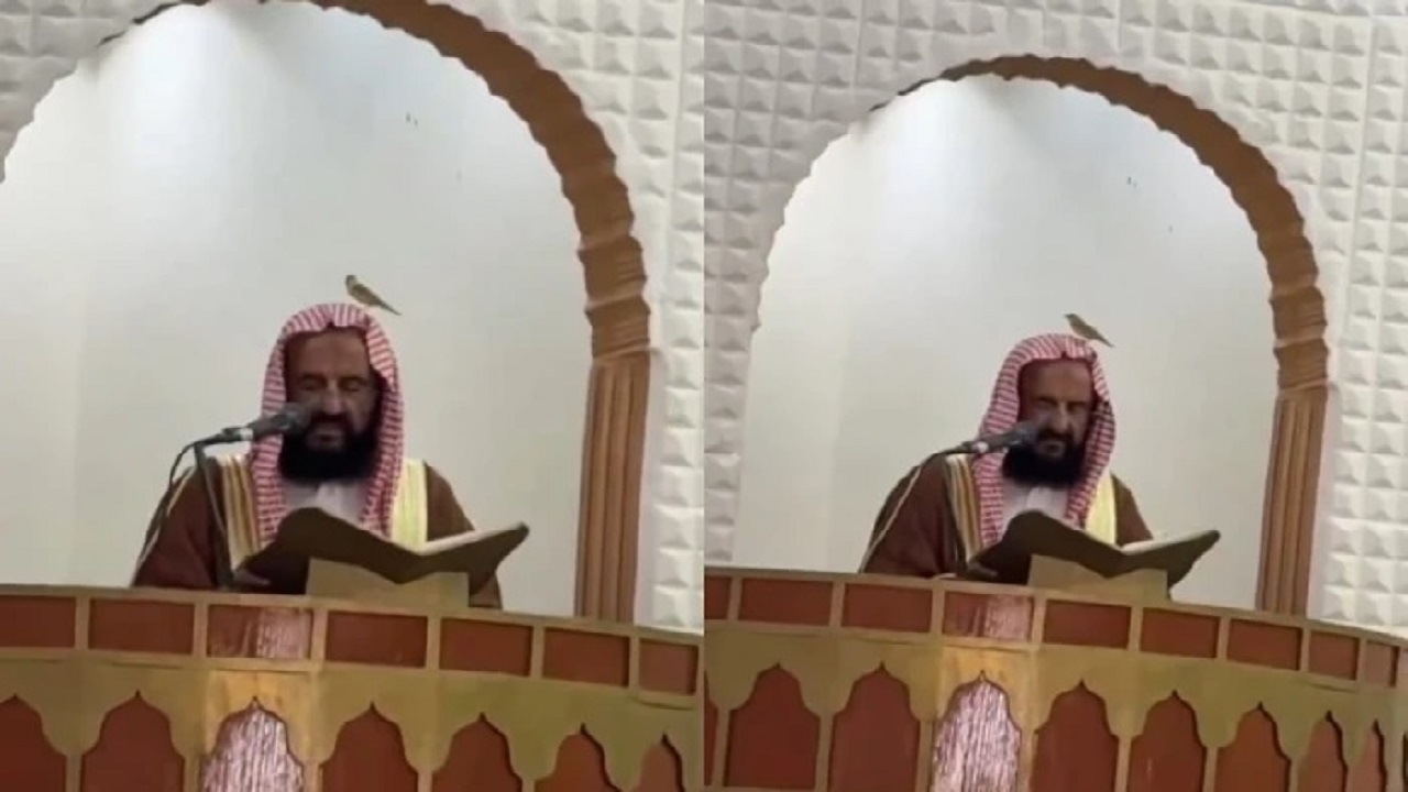 موقف طريف لطائر يستقر فوق رأس خطيب الجمعة بالطائف .. فيديو
