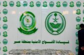 القبض على شخص لترويجه 48 كيلوجرامًا من مادة الحشيش المخدر بعسير