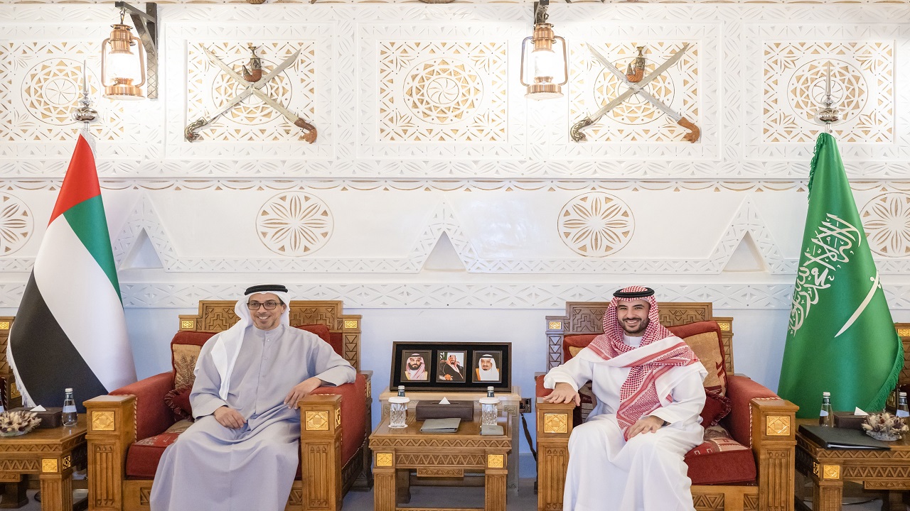 وزير الدفاع يلتقي الشيخ منصور بن زايد آل نهيان