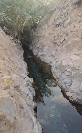 بالفيديو.. الإعلامي عامر العمري يوثق جريان عين المضيق بمحافظة وادي الفرع