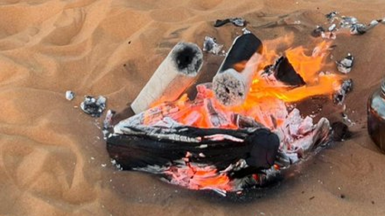 ضبط مواطنين مخالفين لنظام البيئة