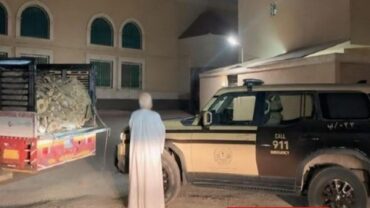 ضبط مقيم لنقله حطباً محلياً في الرياض