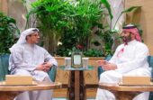 ولي العهد يلتقي الشيخ منصور بن زايد آل نهيان
