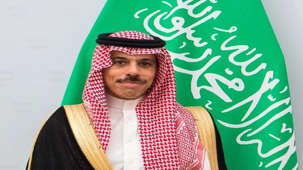 وزير الخارجية يصل روسيا في زيارة رسمية