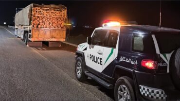 ضبط مخالف لنظام البيئة بحوزته حطب محلي للبيع بالجوف ..فيديو