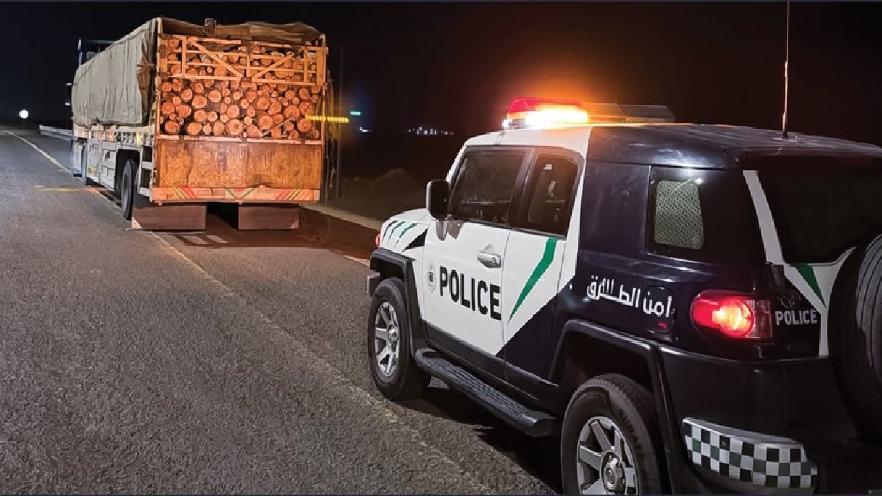 ضبط مخالف لنظام البيئة بحوزته حطب محلي للبيع بالجوف ..فيديو