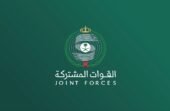 التحالف يعترض مسيرة باتجاه المدينة المنورة