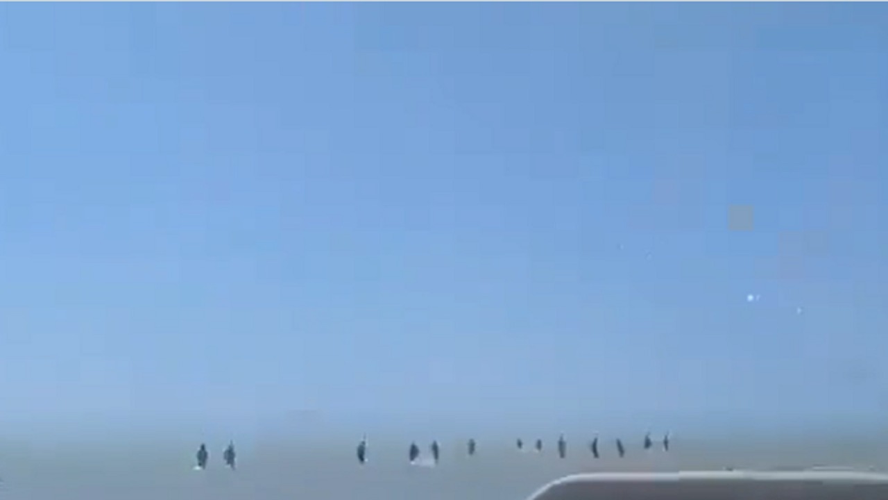 انهيارات غير مسبوقة لمليشيا الحوثي.. آلاف القتلى والأسرى في الساحل الغربي وهروب جماعي نحو البحر إثر عملية “فجر اليمن”.. فيديو