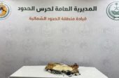 إحباط تهريب 31.882 قرصا من مادة الإمفيتامين المخدر