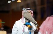 بيع صقرين بقرابة نصف مليون ريال في الليلة الثالثة بمعرض الصقور والصيد