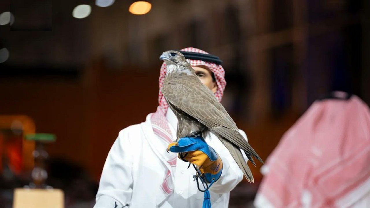 بيع صقران منغوليان بقرابة نصف مليون ريال في مزاد الصقور والصيد