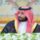 تفاصيل قرارات مجلس الوزراء